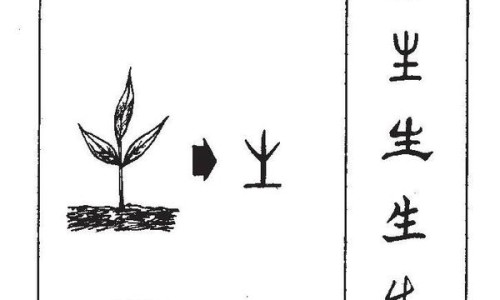 青霉素与头孢有何区别-青霉素与头孢功效区别网 - 为你提供青霉素和头孢一样吗、青霉素与头孢功效区别